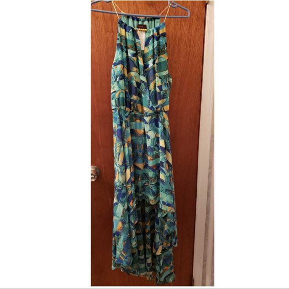 Mark Maxi Dress - Picture 1 of 3